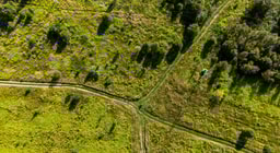 Analysis: Where do CO2 markets go from here?