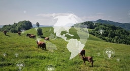 LanzaTech to produce commercial-scale nutritional protein from CO2