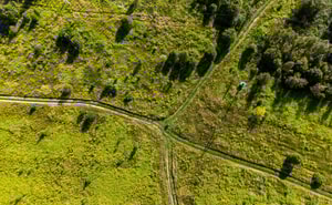 Analysis: Where do CO2 markets go from here?