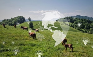 LanzaTech to produce commercial-scale nutritional protein from CO2