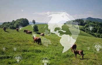 LanzaTech to produce commercial-scale nutritional protein from CO2