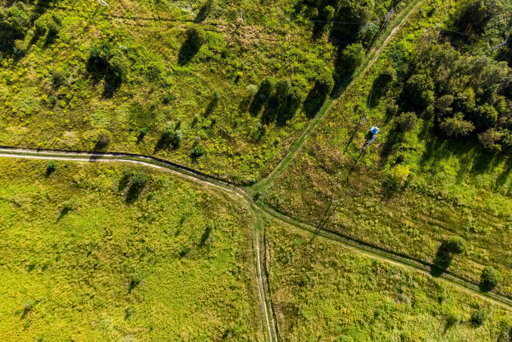 Analysis: Where do CO2 markets go from here?